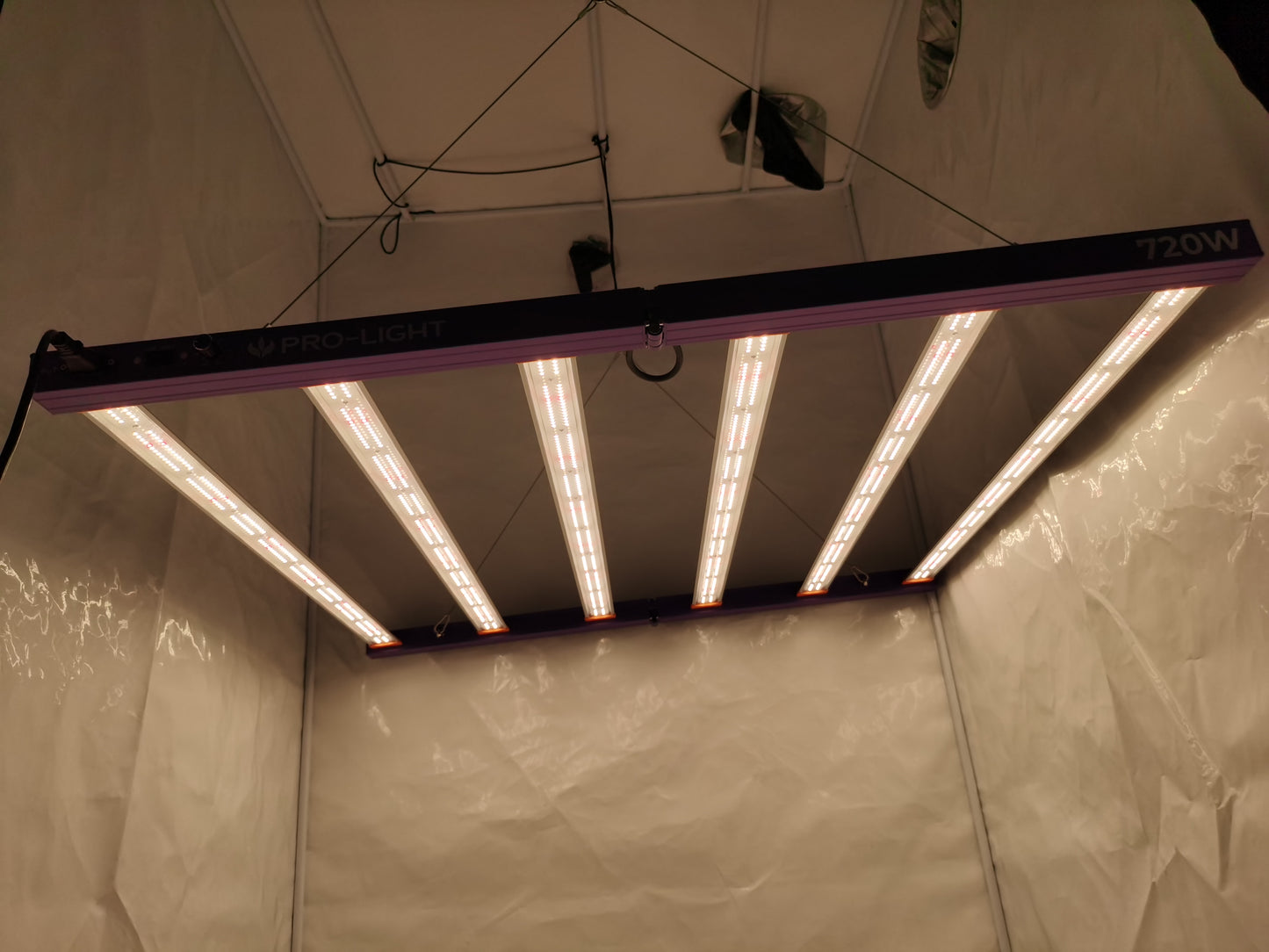 Purple 720W lamp