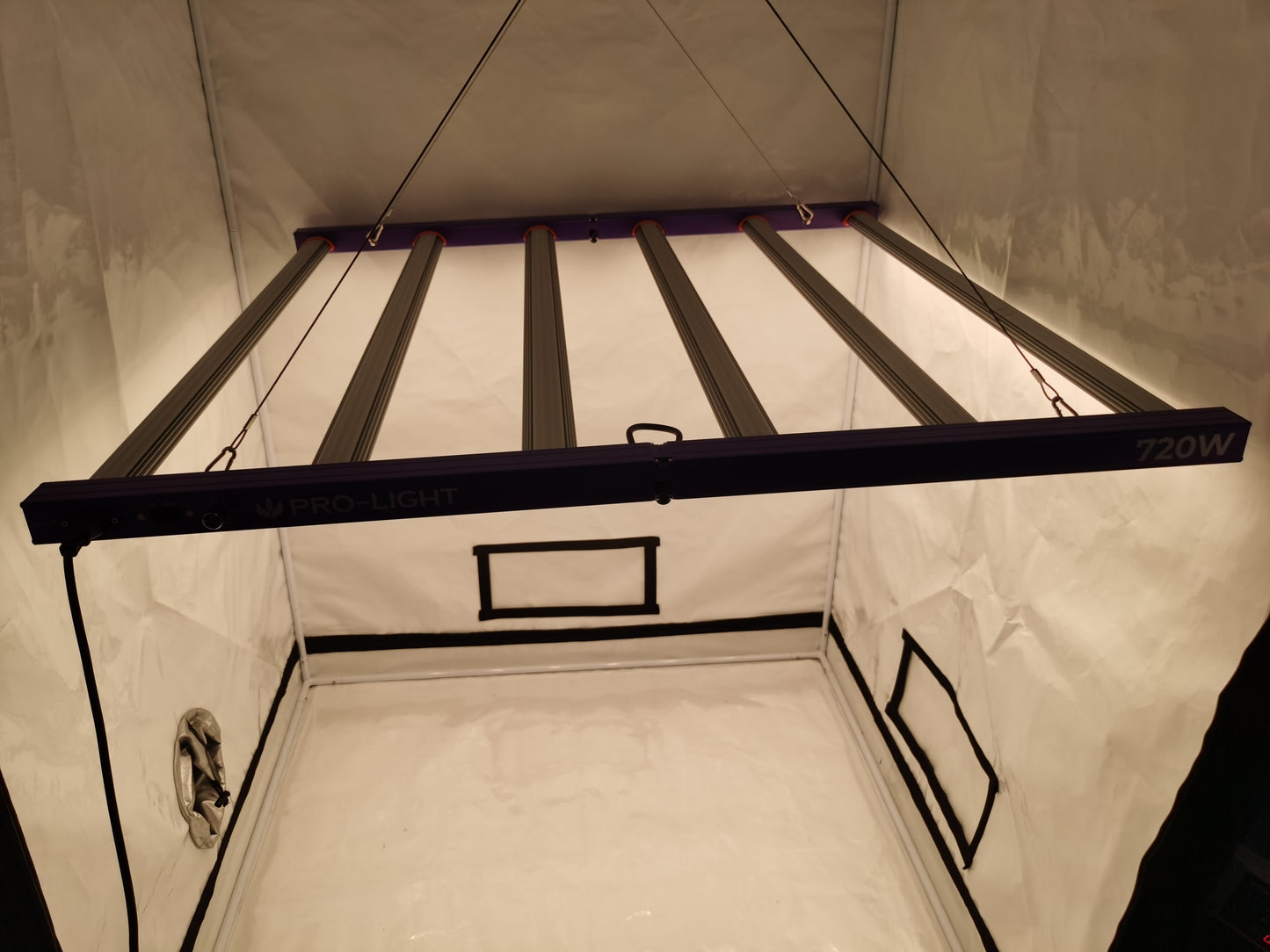 Purple 720W lamp