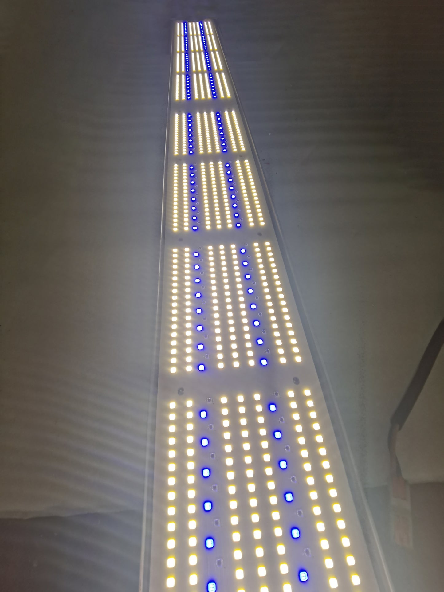 Best Greenhouse light 2022 630w Full spectrum Red 660nm Blue 450nm for lettuce and tomatos