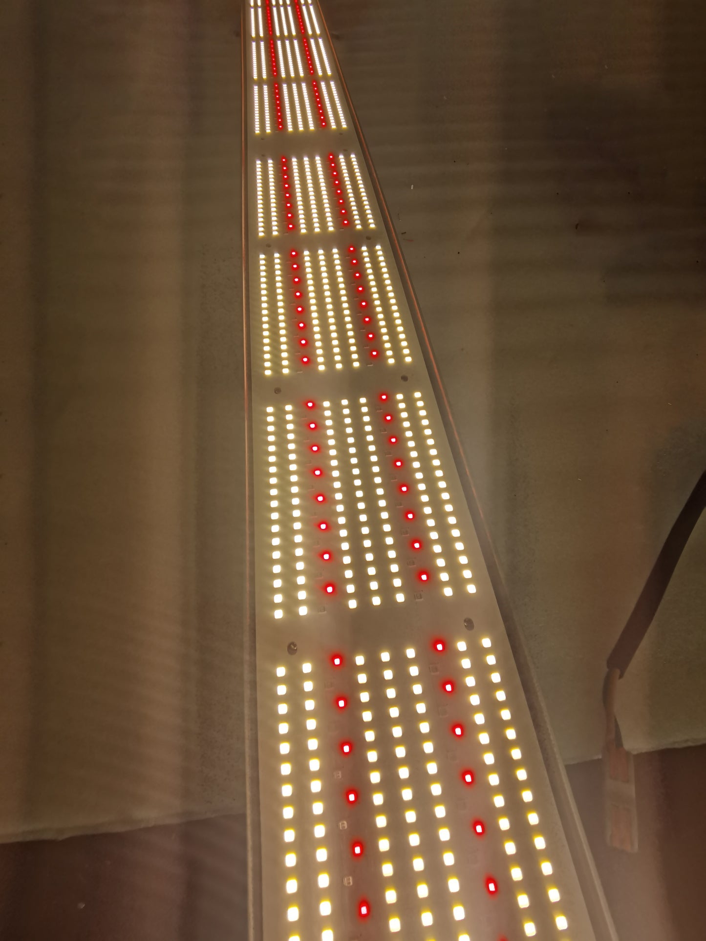 Best Greenhouse light 2022 630w Full spectrum Red 660nm Blue 450nm for lettuce and tomatos